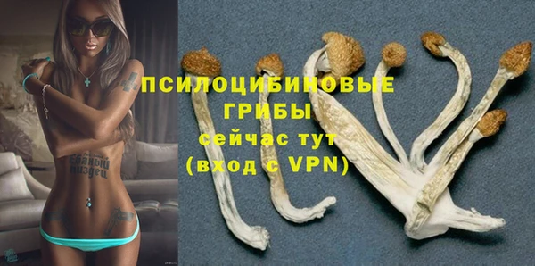mdpv Армянск
