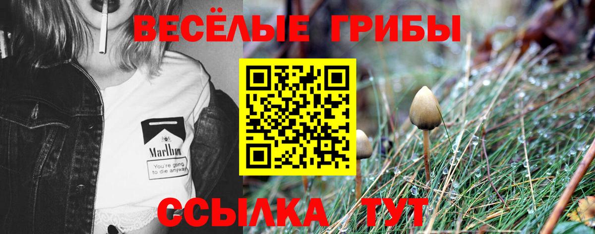 Псилоцибиновые грибы ЛСД Светлоград